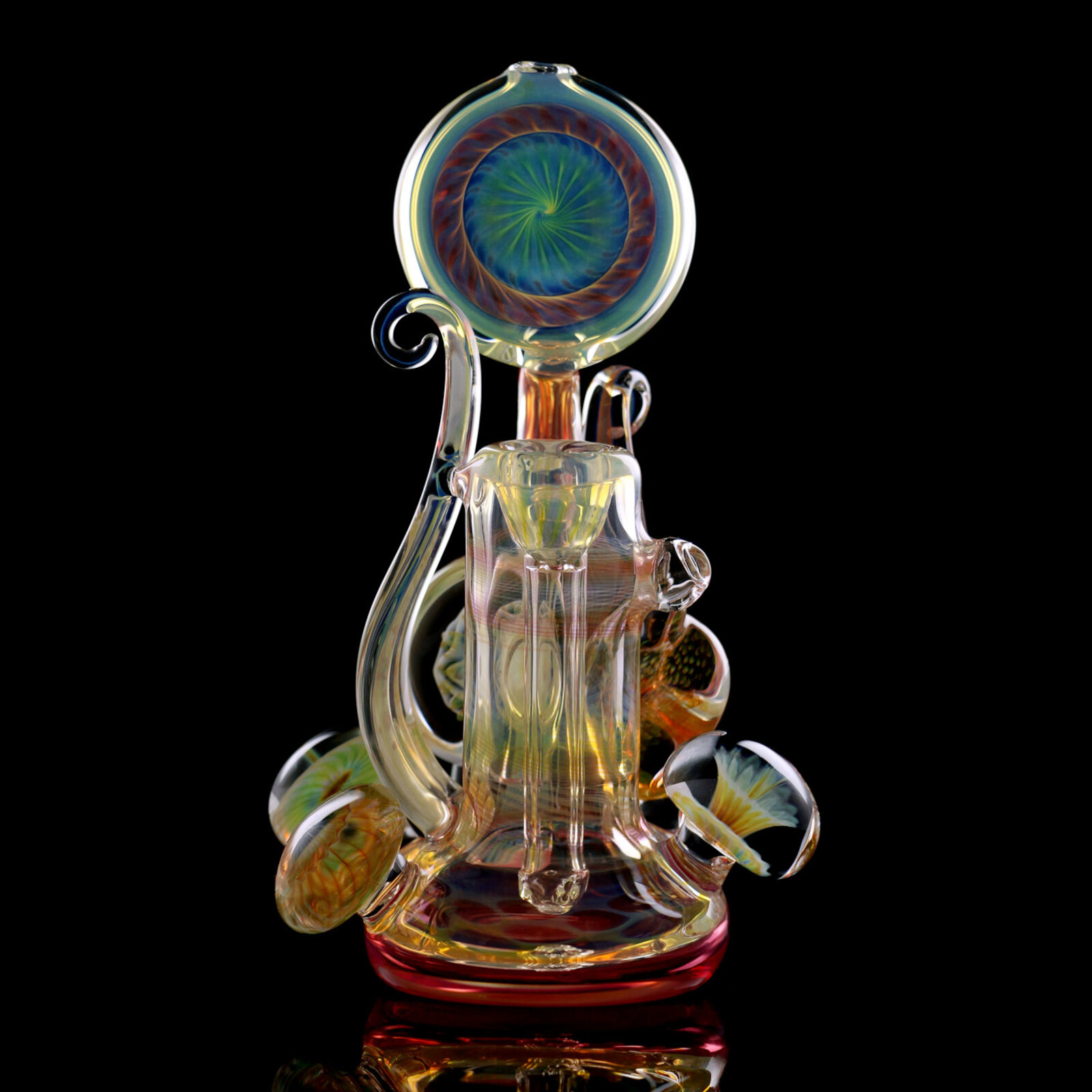 Snailflower