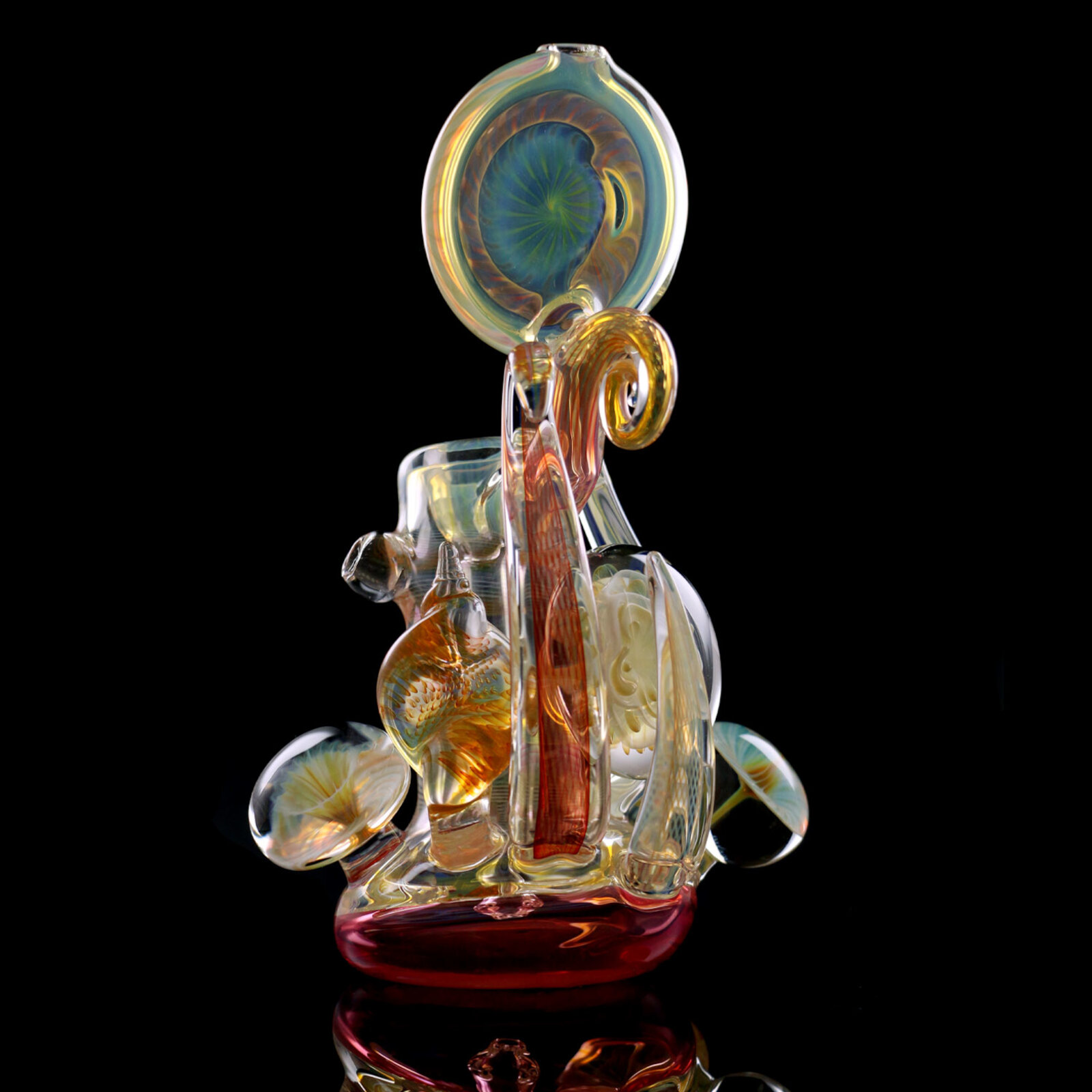Snailflower