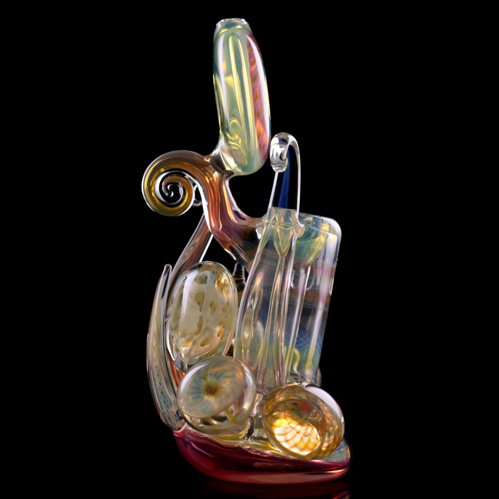 Snailflower