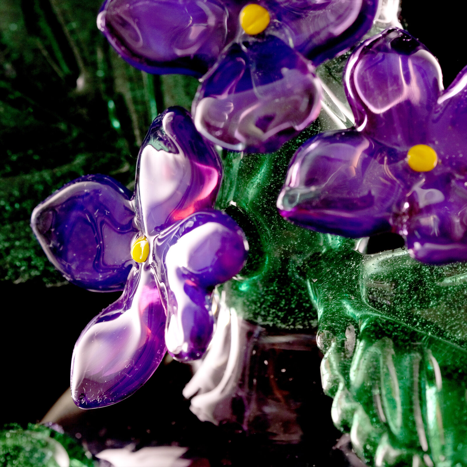 African Violet Flower Rig