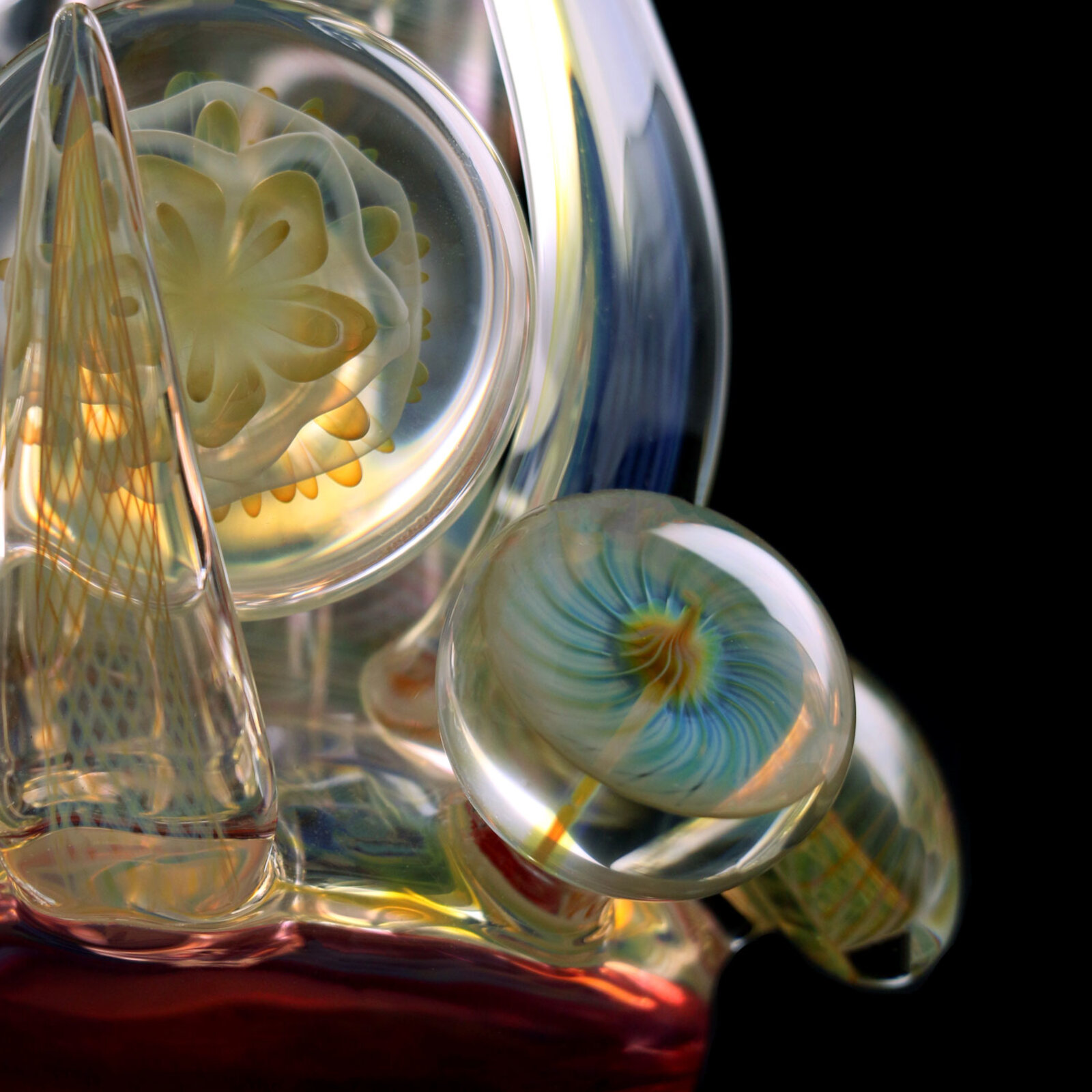 Snailflower