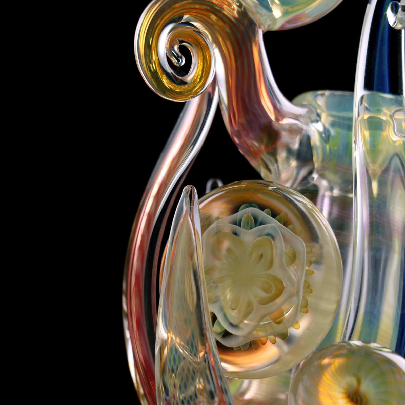 Snailflower
