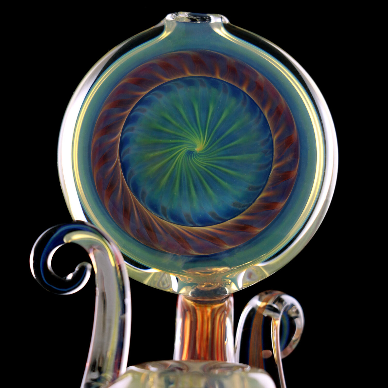 Snailflower